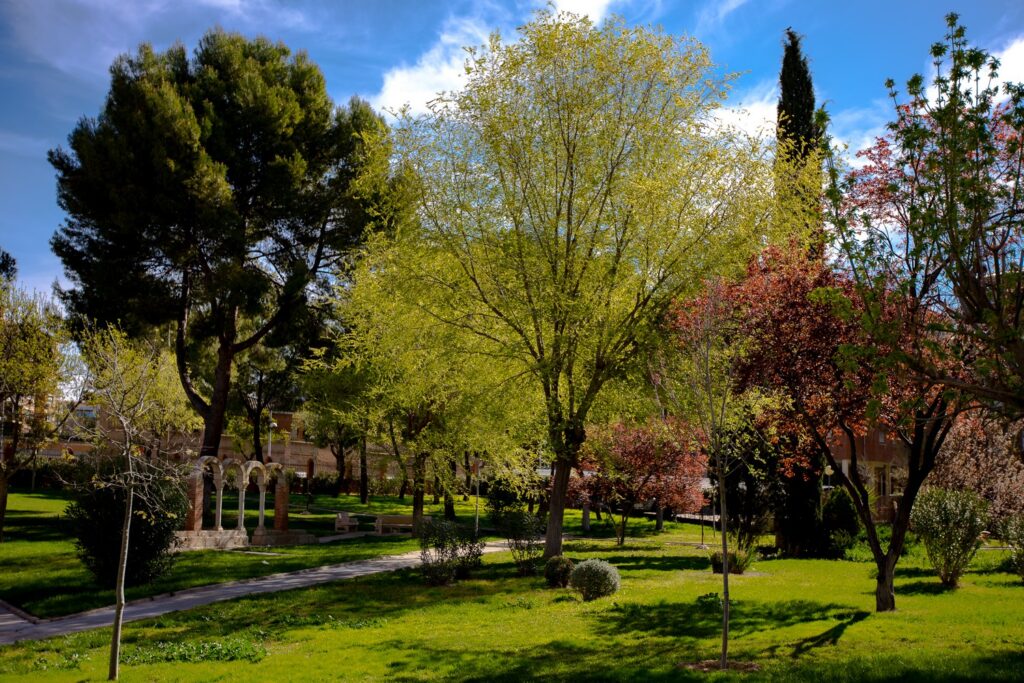 Jardines